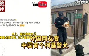 Download Video: 中国首个柯基警犬福仔上岗火到国外！外国网友:除了哈士奇都可以