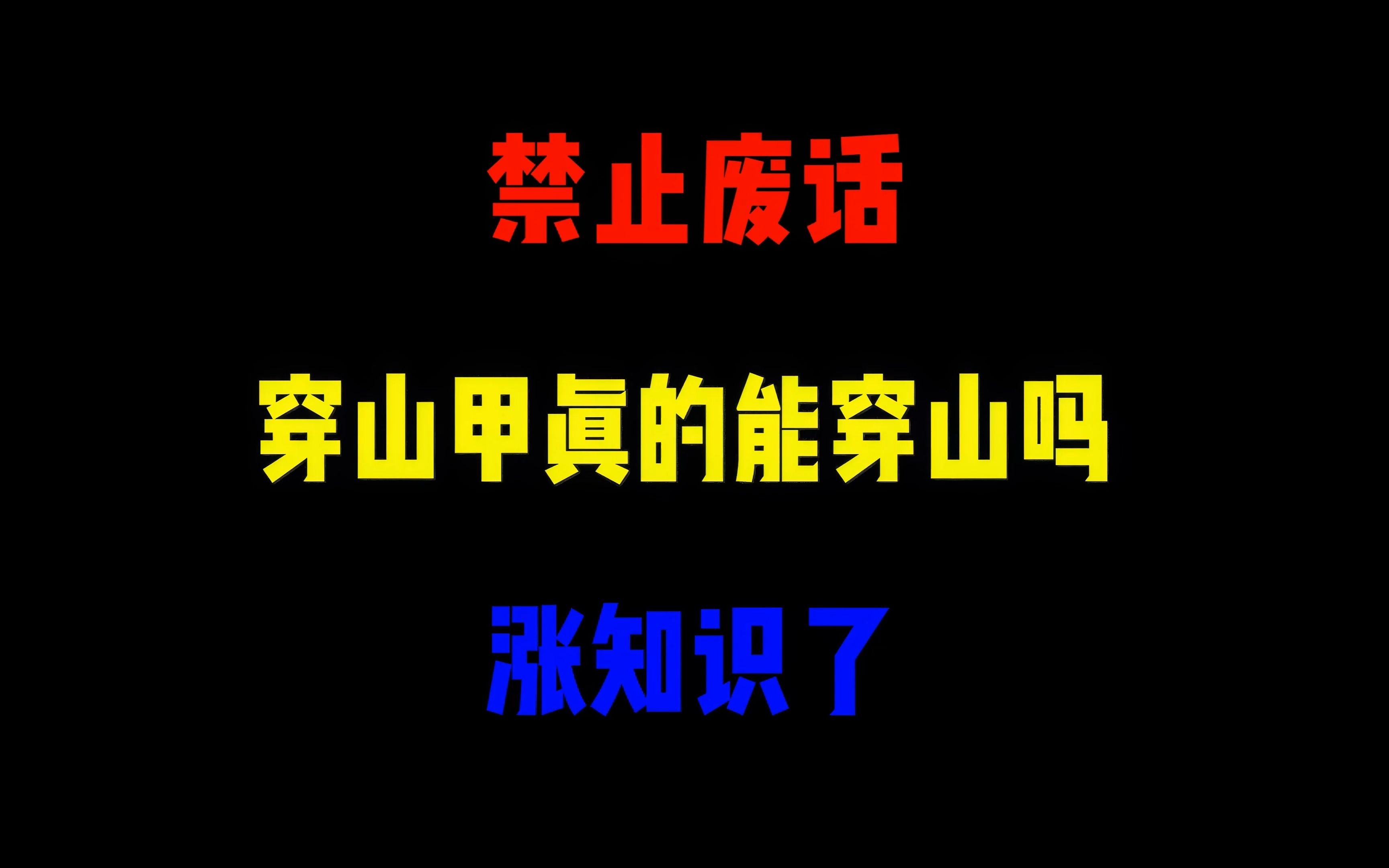 禁止废话:穿山甲真的能穿山?涨知识了哔哩哔哩bilibili