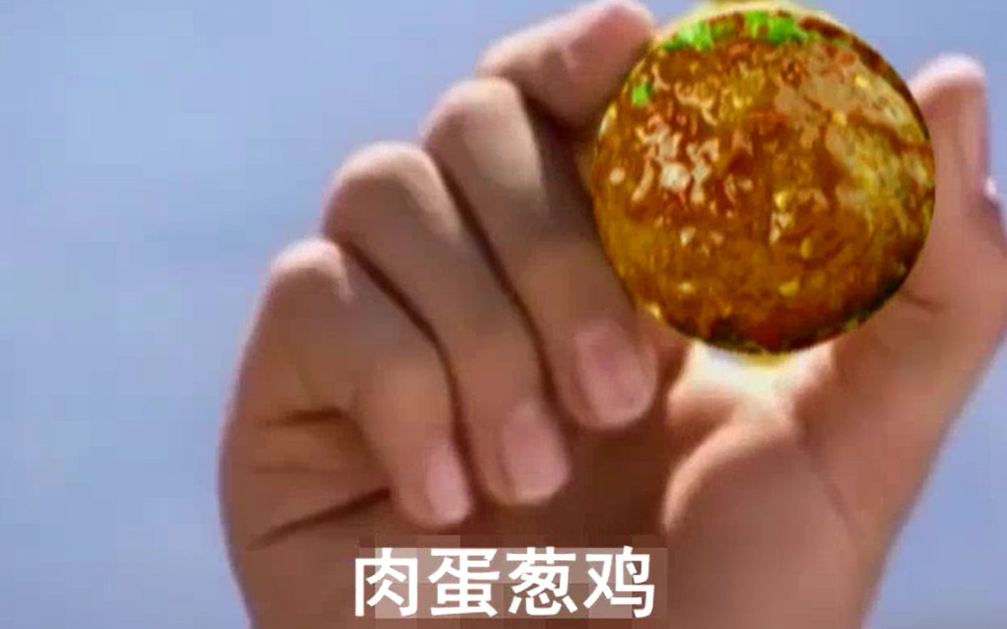 肉 蛋 葱 鸡