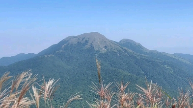 东莞第一峰银屏山森林公园银瓶嘴.远眺惠州第一峰白云嶂.哔哩哔哩bilibili