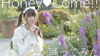小倉唯 Honey Come 哔哩哔哩 Bilibili