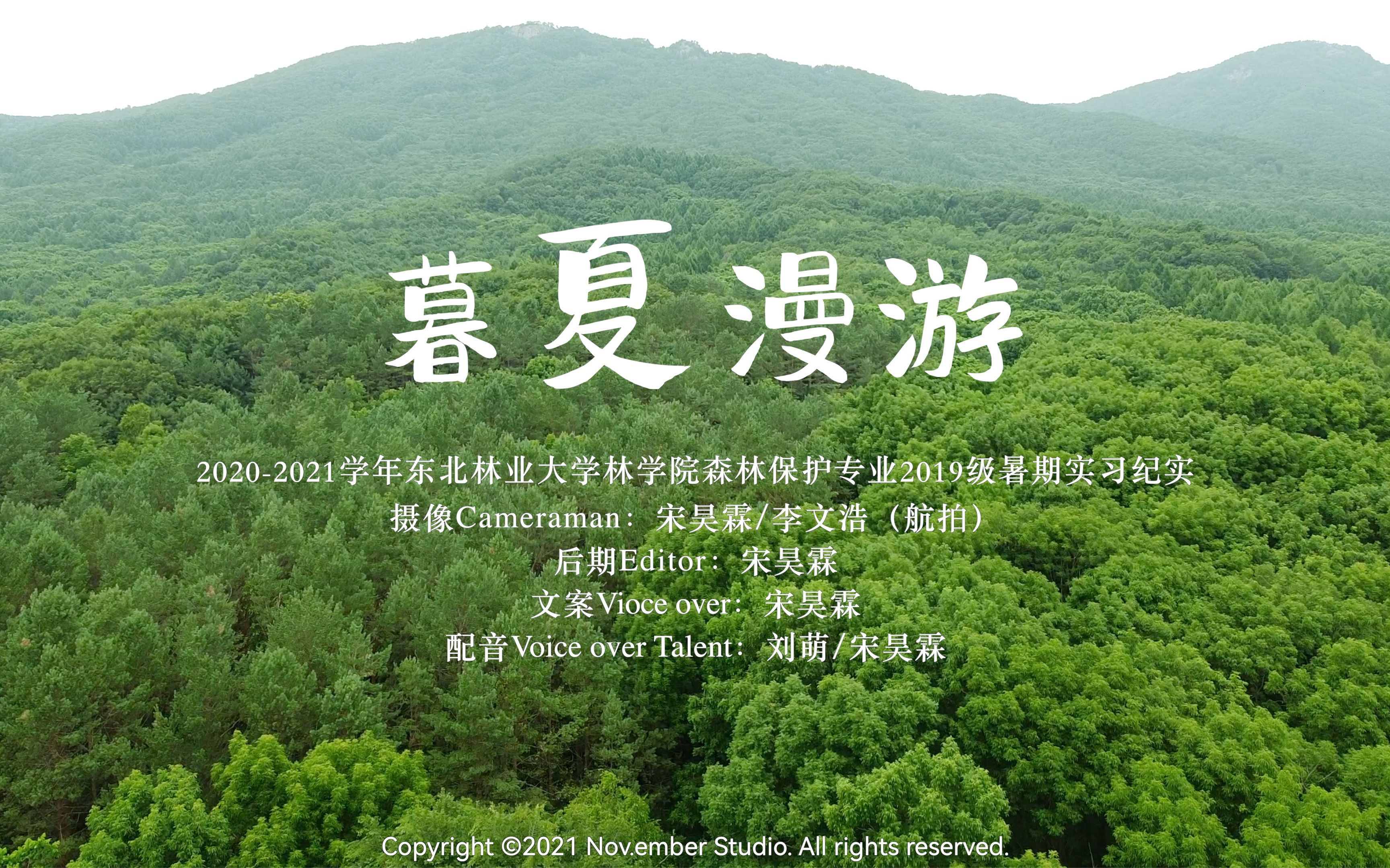 暮夏漫游|东北林业大学2019级森林保护专业实习纪实|帽儿山实验林场哔哩哔哩bilibili