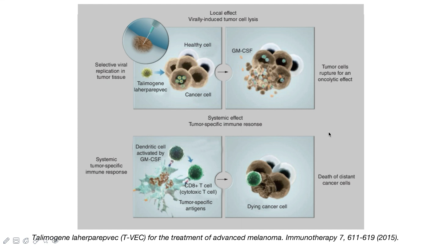 什么是溶瘤病毒疗法?哔哩哔哩bilibili