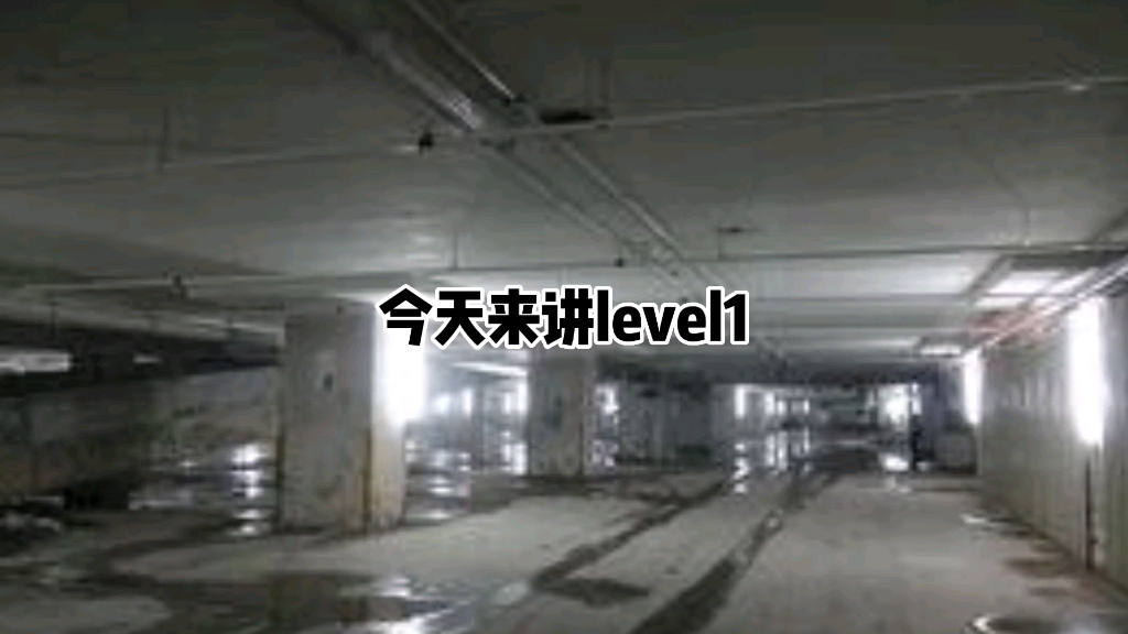 level1哔哩哔哩bilibili