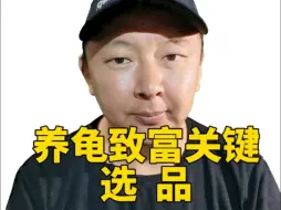 Download Video: 养龟致富关键一造品。一超多强选品法助你龟运亨通。