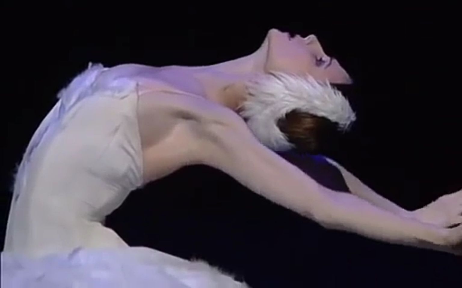 [图]【芭蕾】天鹅之死 the dying swan - Svetlana Zakharova