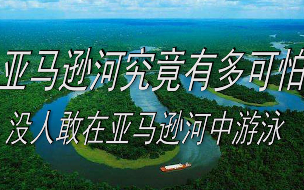 亚马逊河究竟有多可怕?没有人敢在亚马逊河中游泳哔哩哔哩bilibili