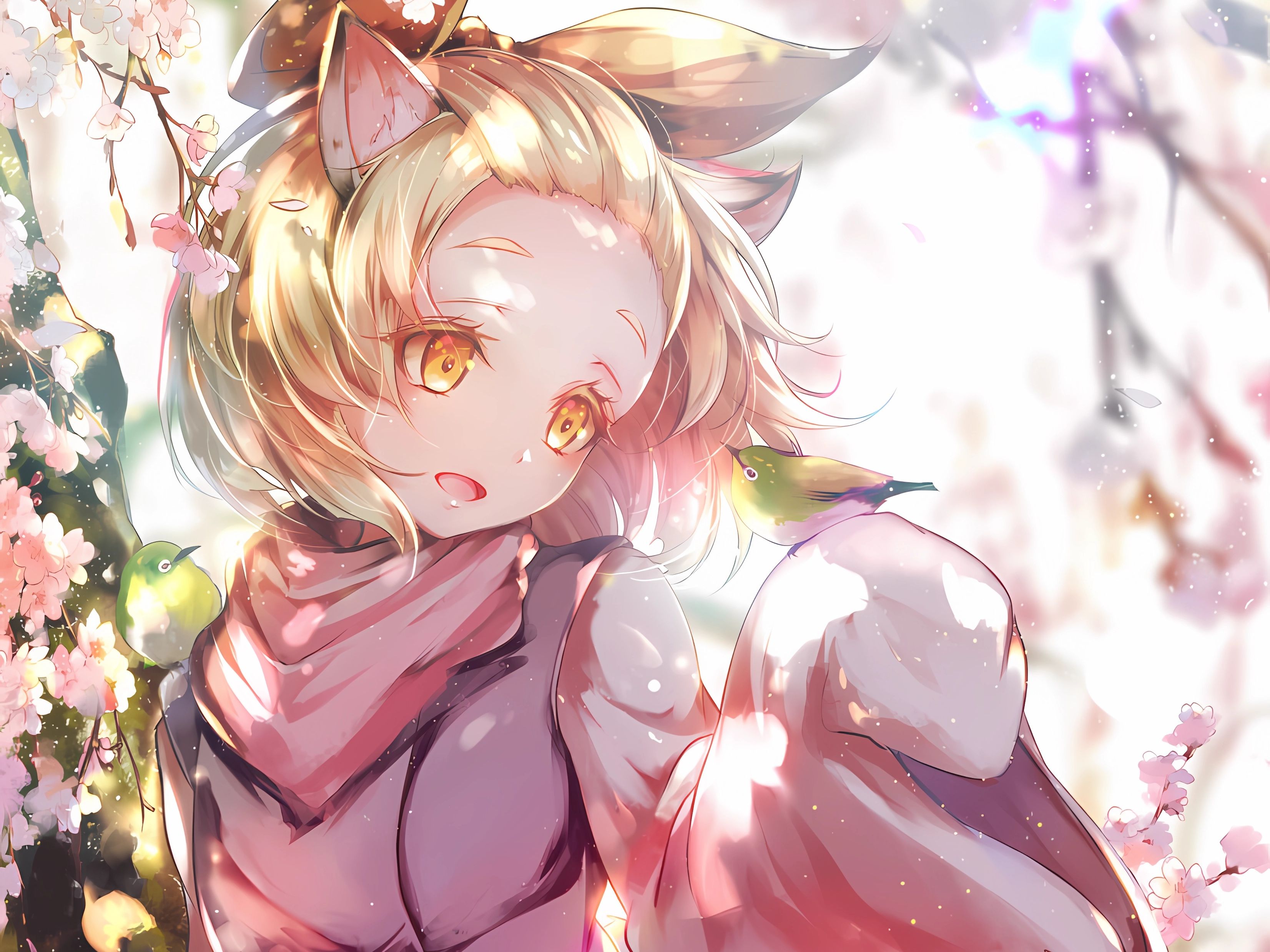 计划有变 通招灰流丽