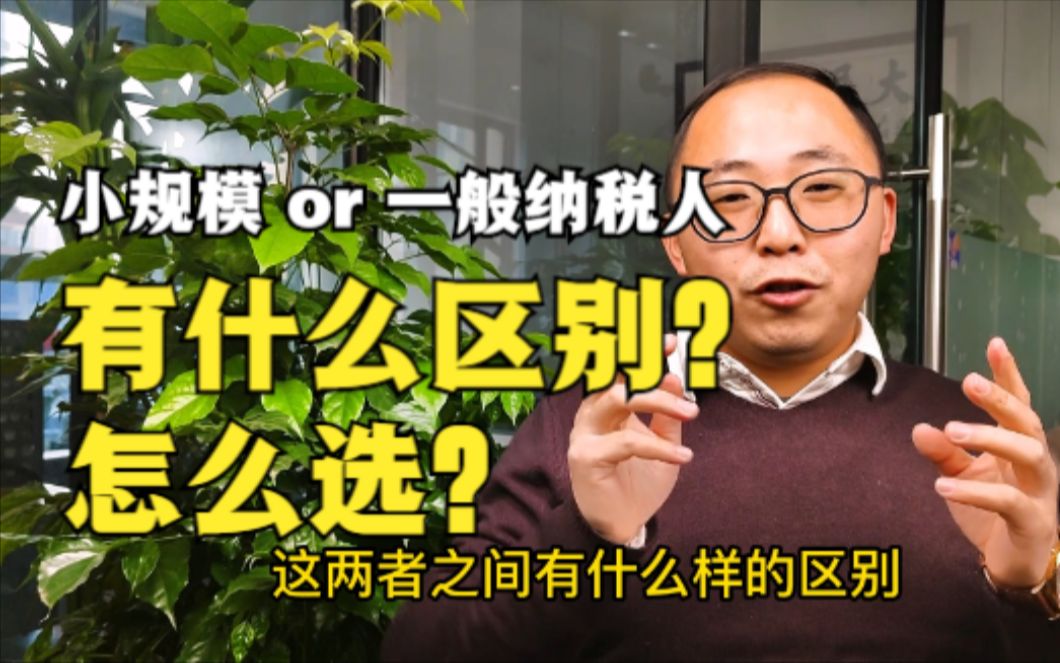 创业注册公司,选小规模纳税人还是一般纳税人?它们有什么区别哔哩哔哩bilibili