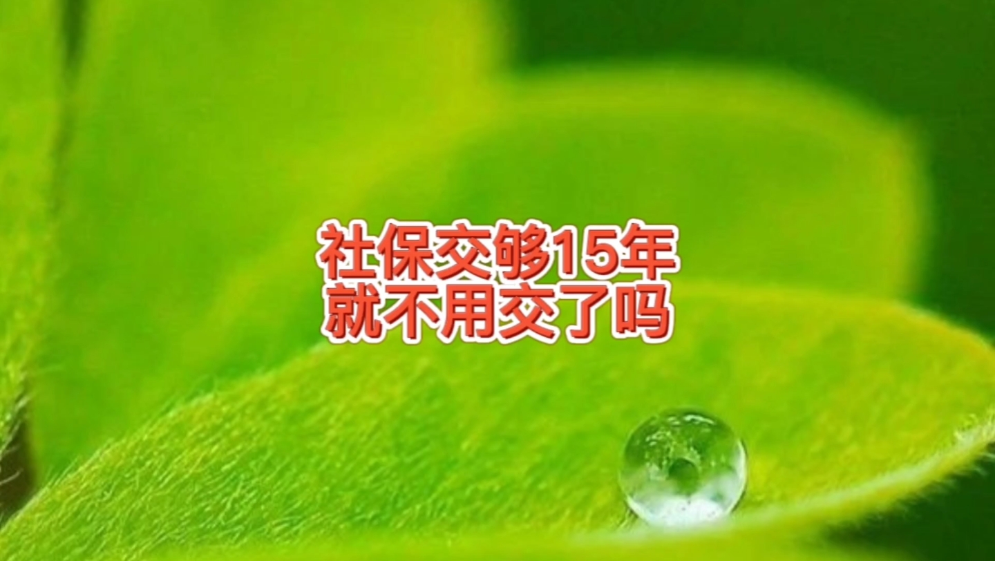 社保缴费交够15年就不用交了吗?员工开始工作30天内公司要办社保哔哩哔哩bilibili