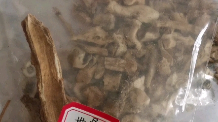 浅辨中药:地骨皮,白鲜皮,牡丹皮,桑白皮哔哩哔哩bilibili