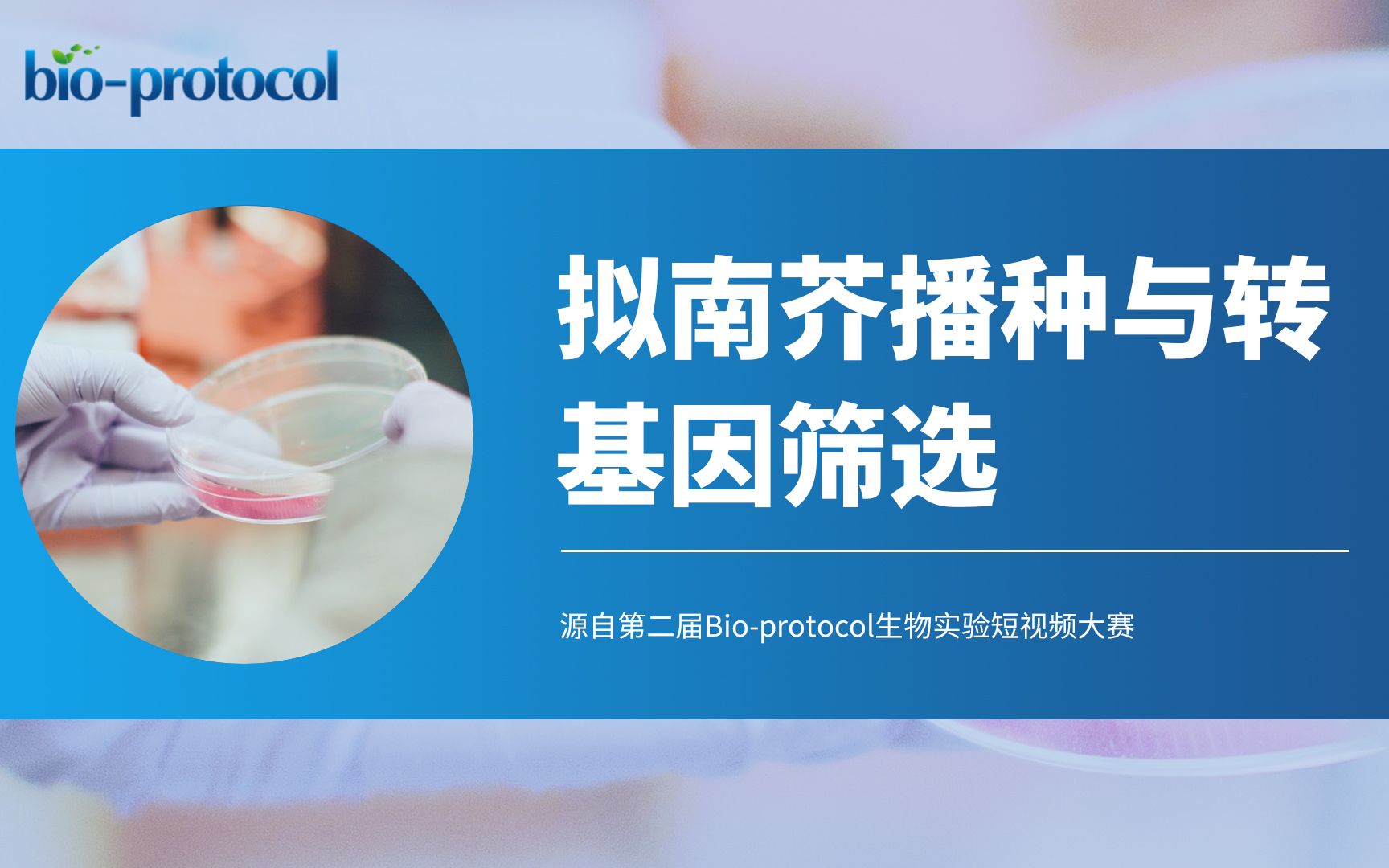 【BIoprotocol】拟南芥播种与转基因筛选哔哩哔哩bilibili