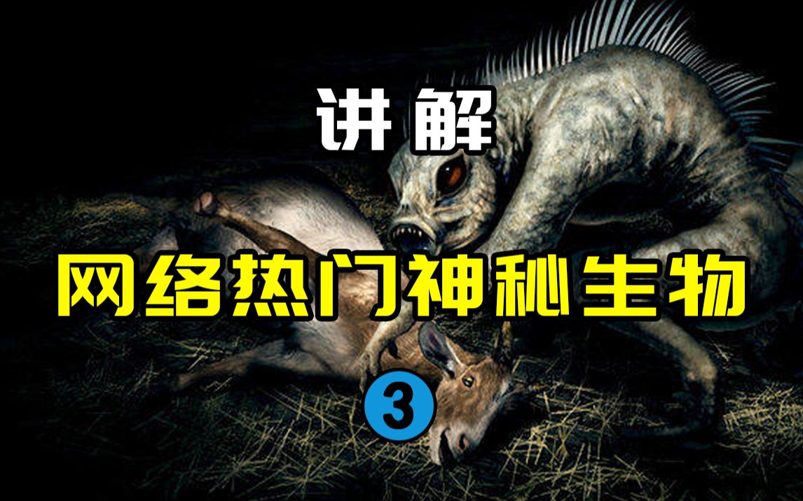 【网络热门神秘生物3】CCTV10的童年阴影!?传说中的吸血怪物真的存在吗?哔哩哔哩bilibili