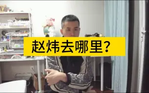 王天一谈赵炜去哪了？