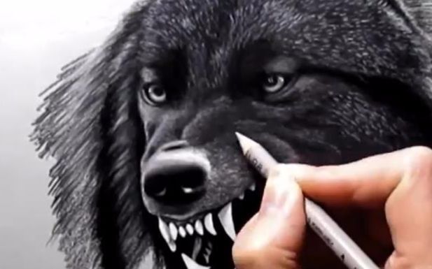 大黑熊头部的画法,感觉它要吃了我!