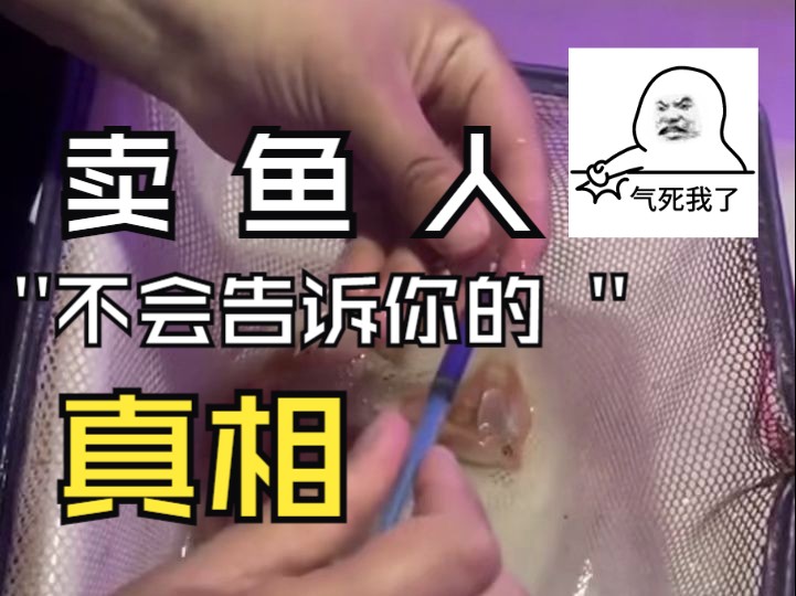 偷梁换柱?你可能买到科技鱼了!哔哩哔哩bilibili