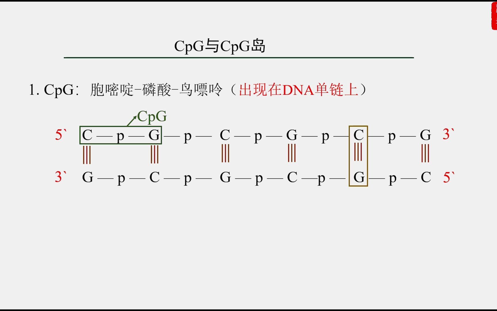 表观遗传之DNA甲基化哔哩哔哩bilibili