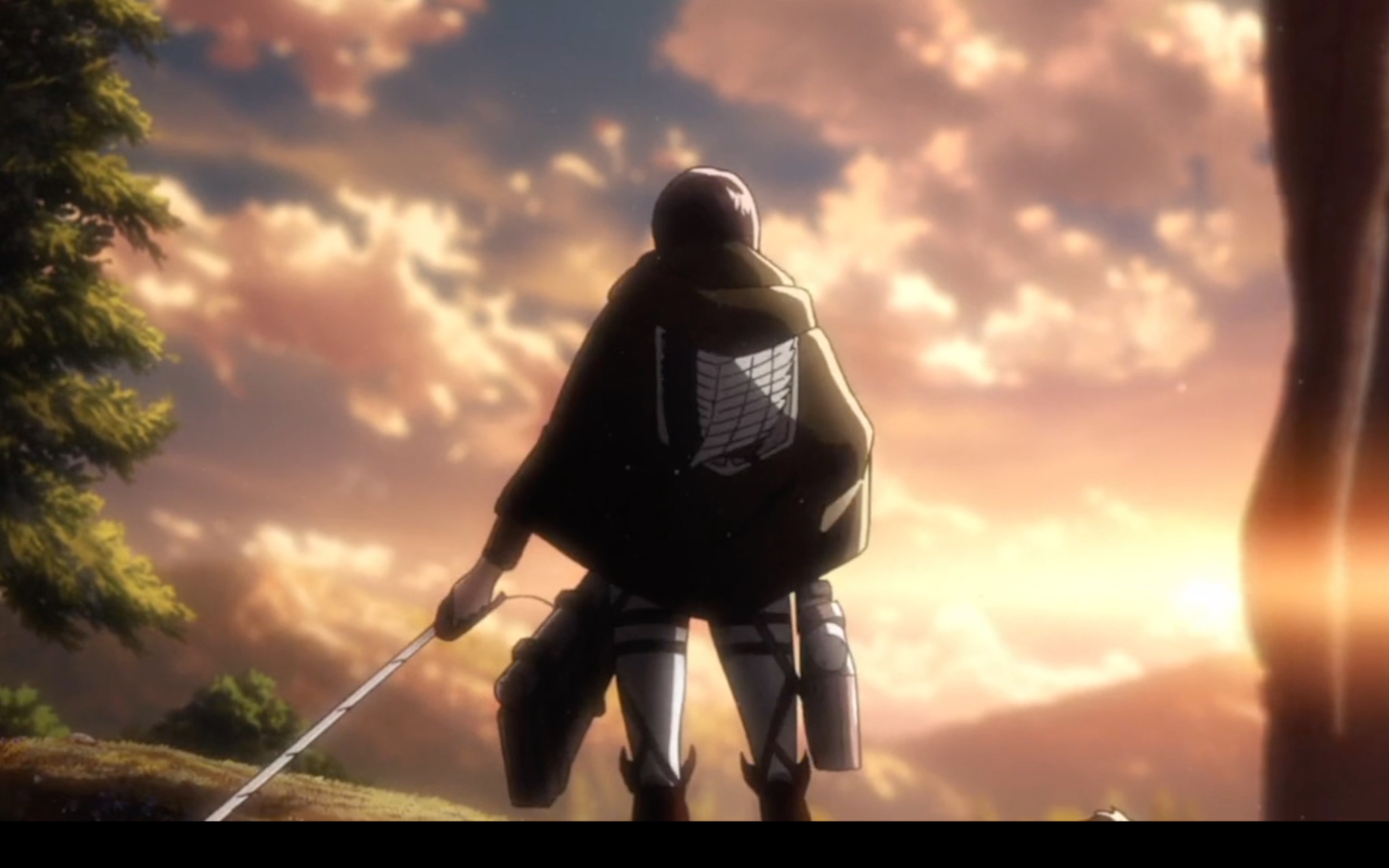 自由之翼进击的巨人为三笠和兵长献出心脏辛苦阿尼了被打了一分多钟