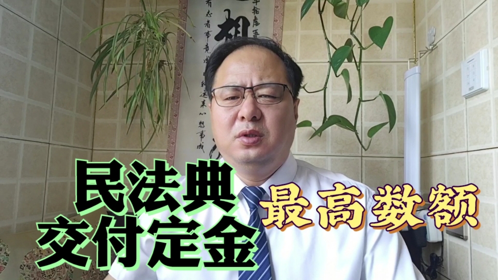 《民法典》规定,定金最多可以收取多少?否则没有法律效力哔哩哔哩bilibili