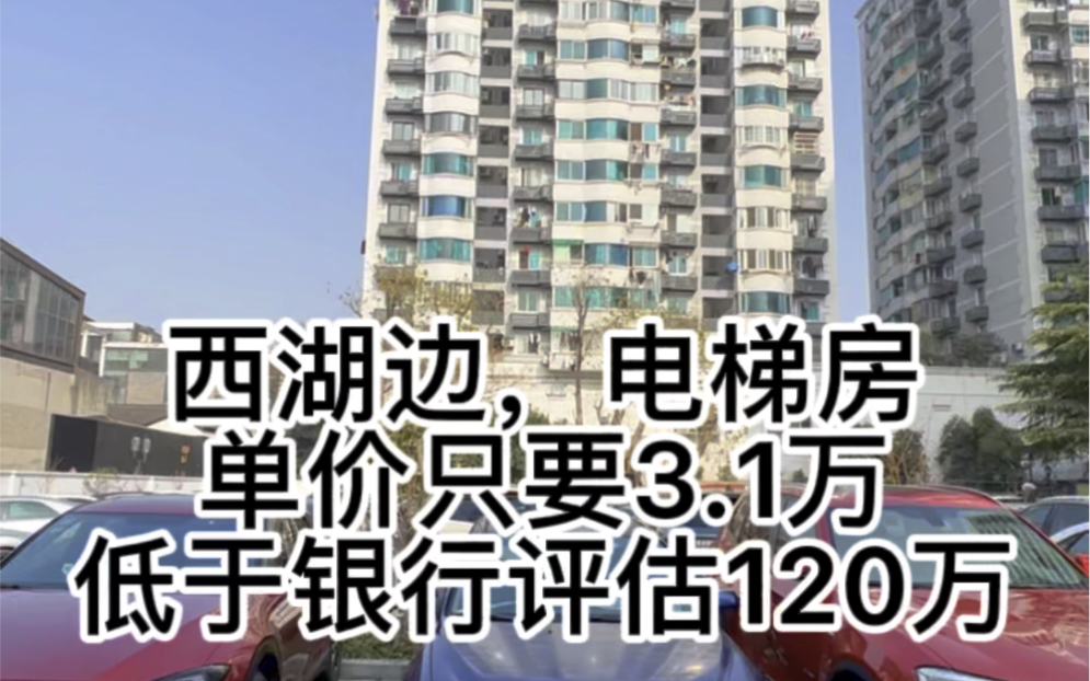 西湖边,电梯房,低于银行评估价120万,单价3.1万,绝对找不出来第二套,面积158.88方,总价500万,满五唯一!哔哩哔哩bilibili