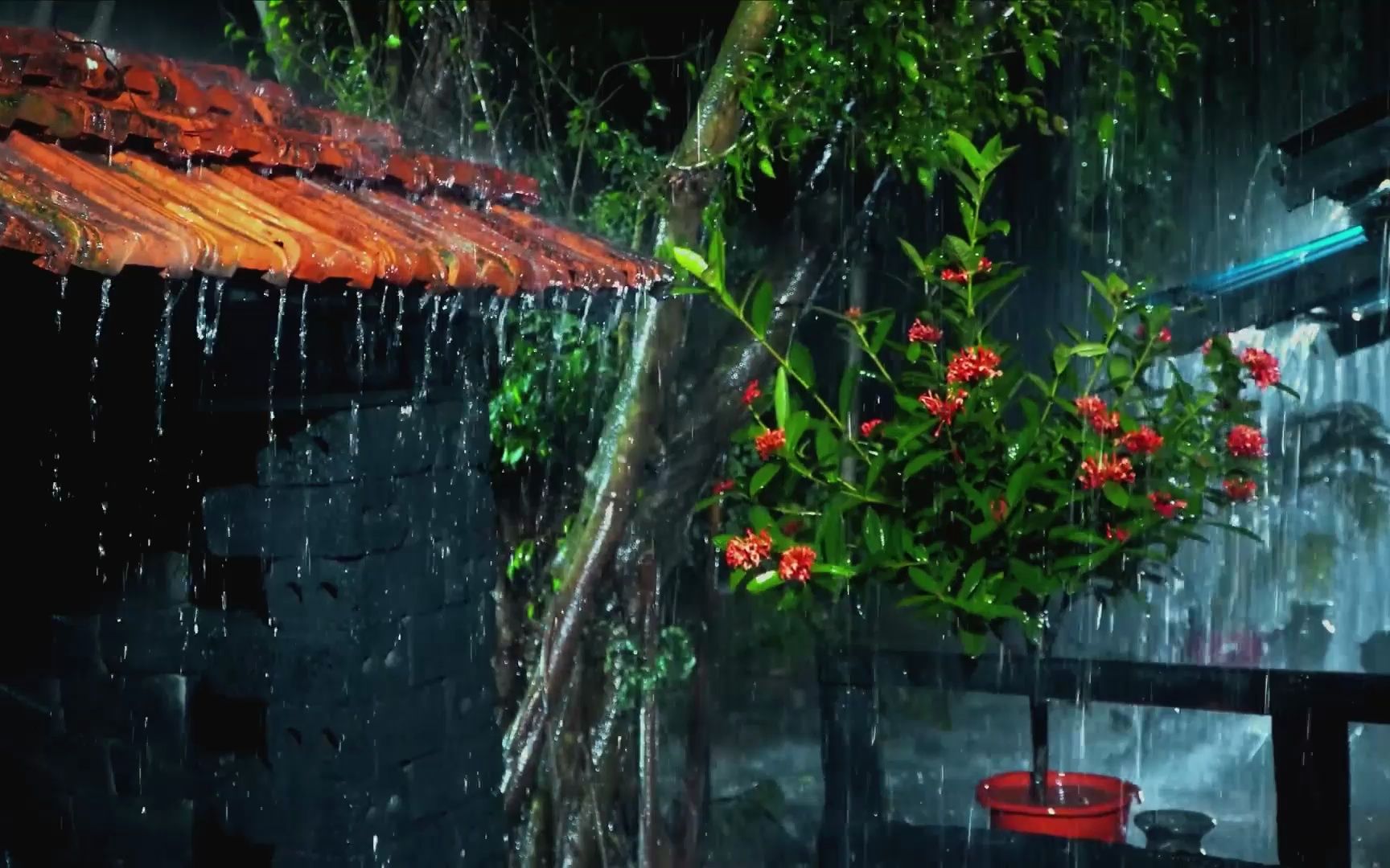 【真实雨声】432赫兹治愈雨声,大暴雨3分钟轻松入睡⚡-bilibili(B站)无水印视频解析——YIUIOS易柚斯