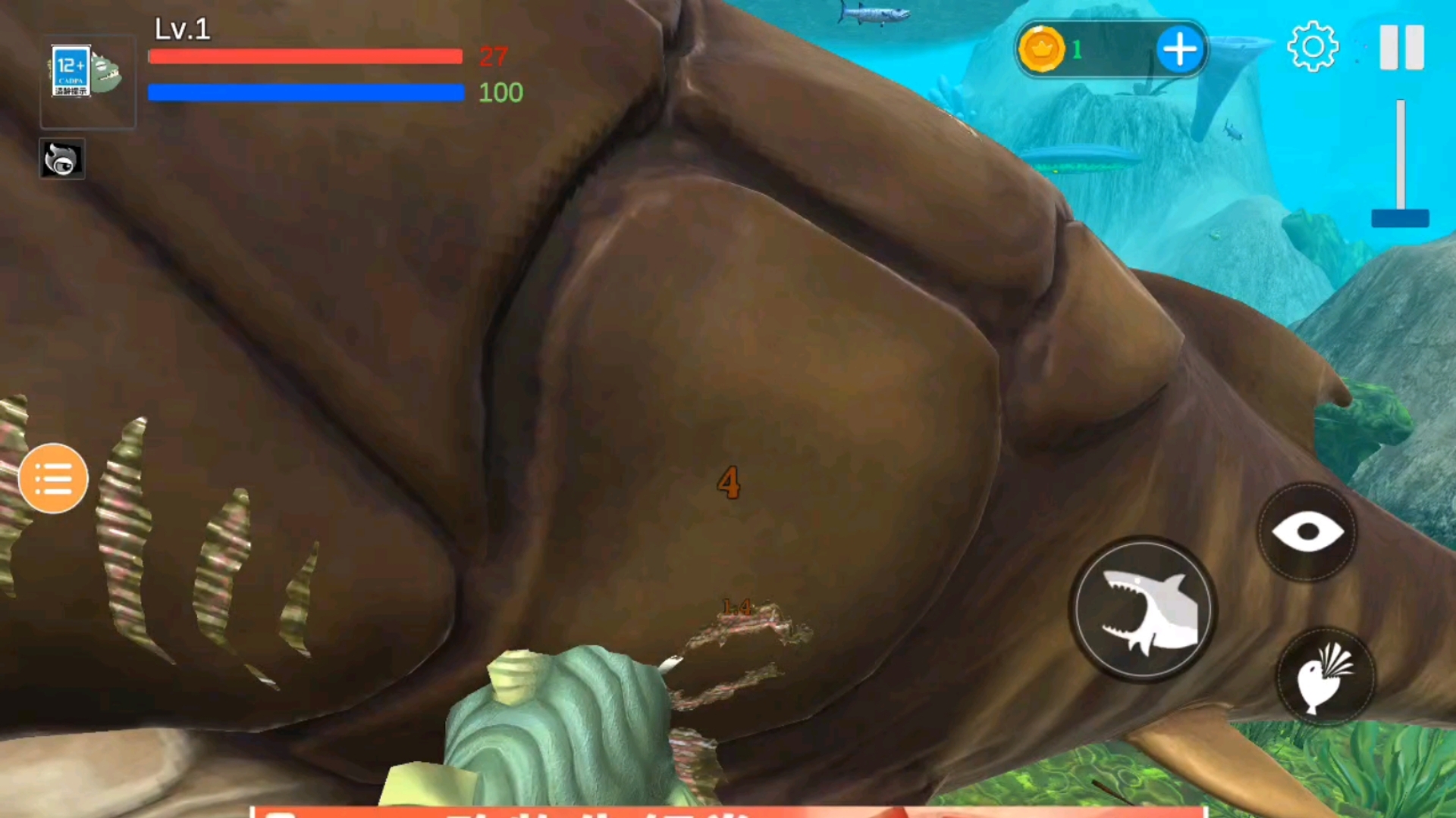 (海底大猎杀)食人鱼暴揍邓氏鱼