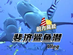 Download Video: 世界Top潜点| 刺激的斐济鲨鱼潜🦈🇫🇯