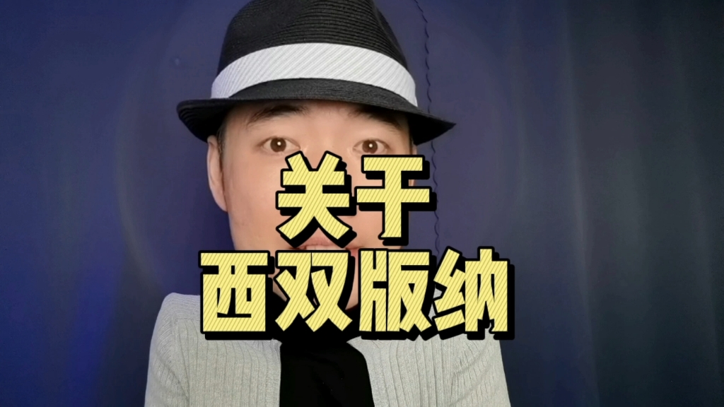 关于西双版纳哔哩哔哩bilibili