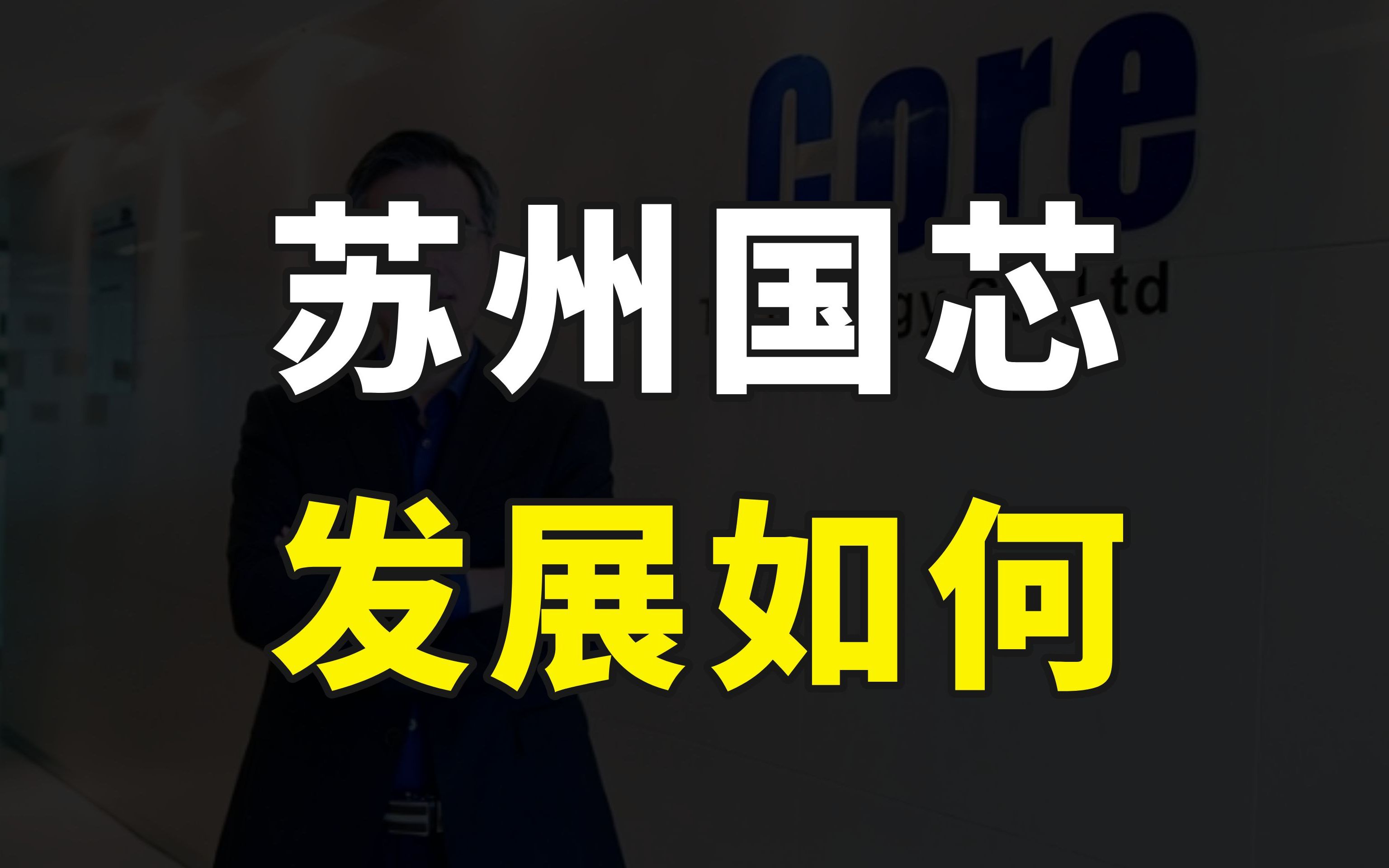 专注嵌入式CPU二十年,三大指令集全覆盖,汽车芯片开始国产替代哔哩哔哩bilibili