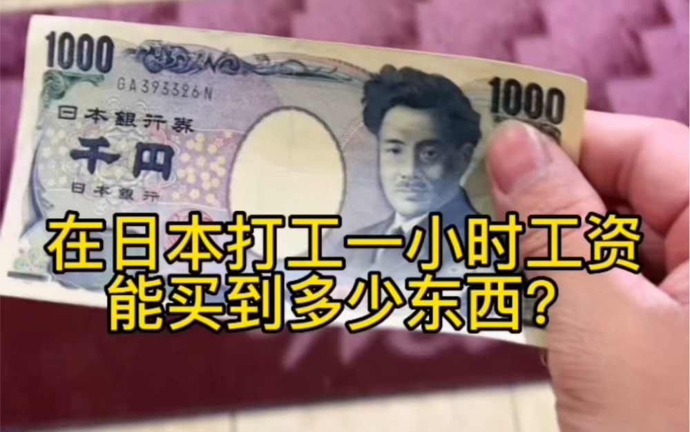 在日本农村超市用一小时工资收入能买到多少东西?你们觉得物价贵吗?哔哩哔哩bilibili