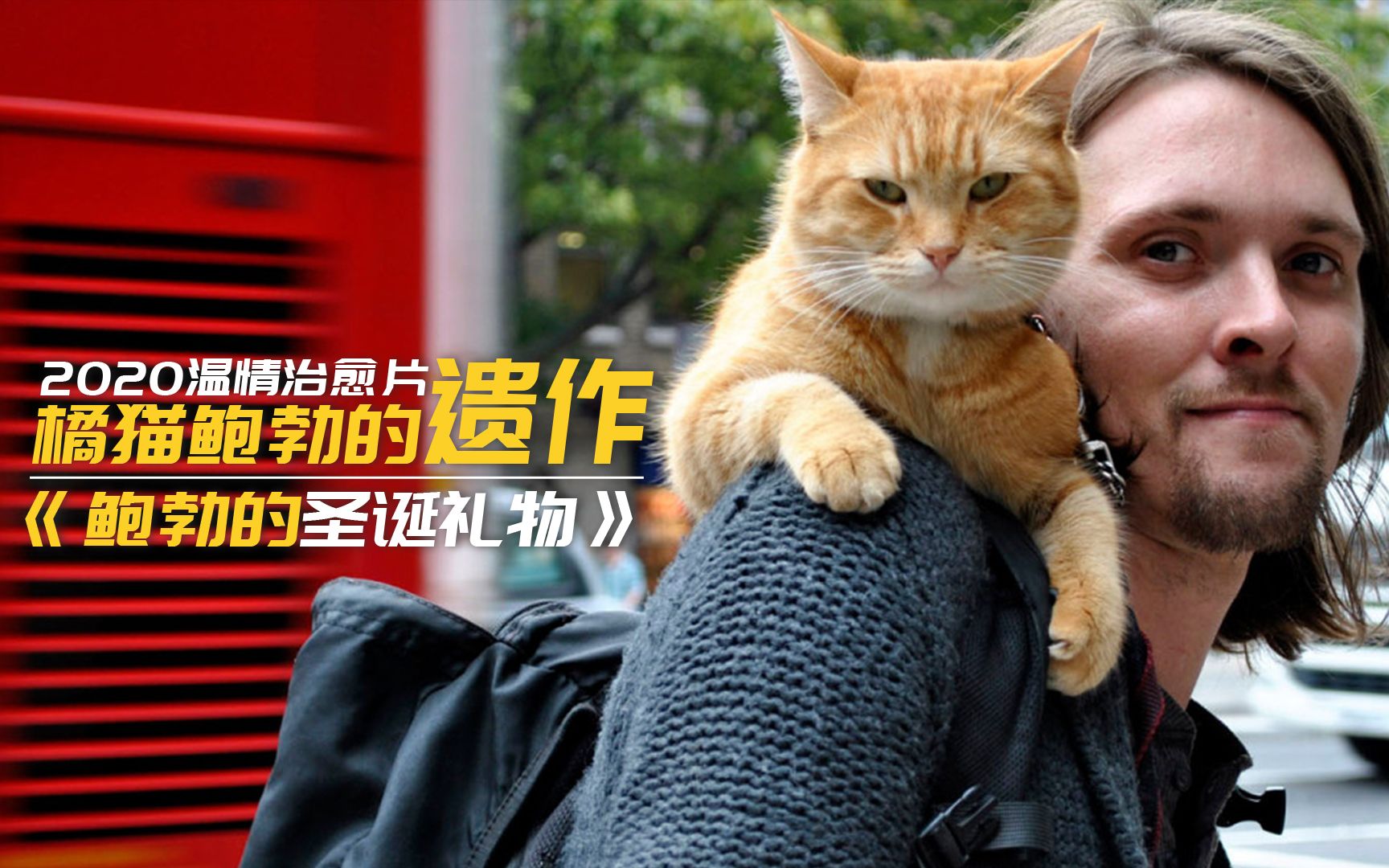 那只治愈过你的橘猫走了,却留下又一个温暖的故事《鲍勃的圣诞礼物》