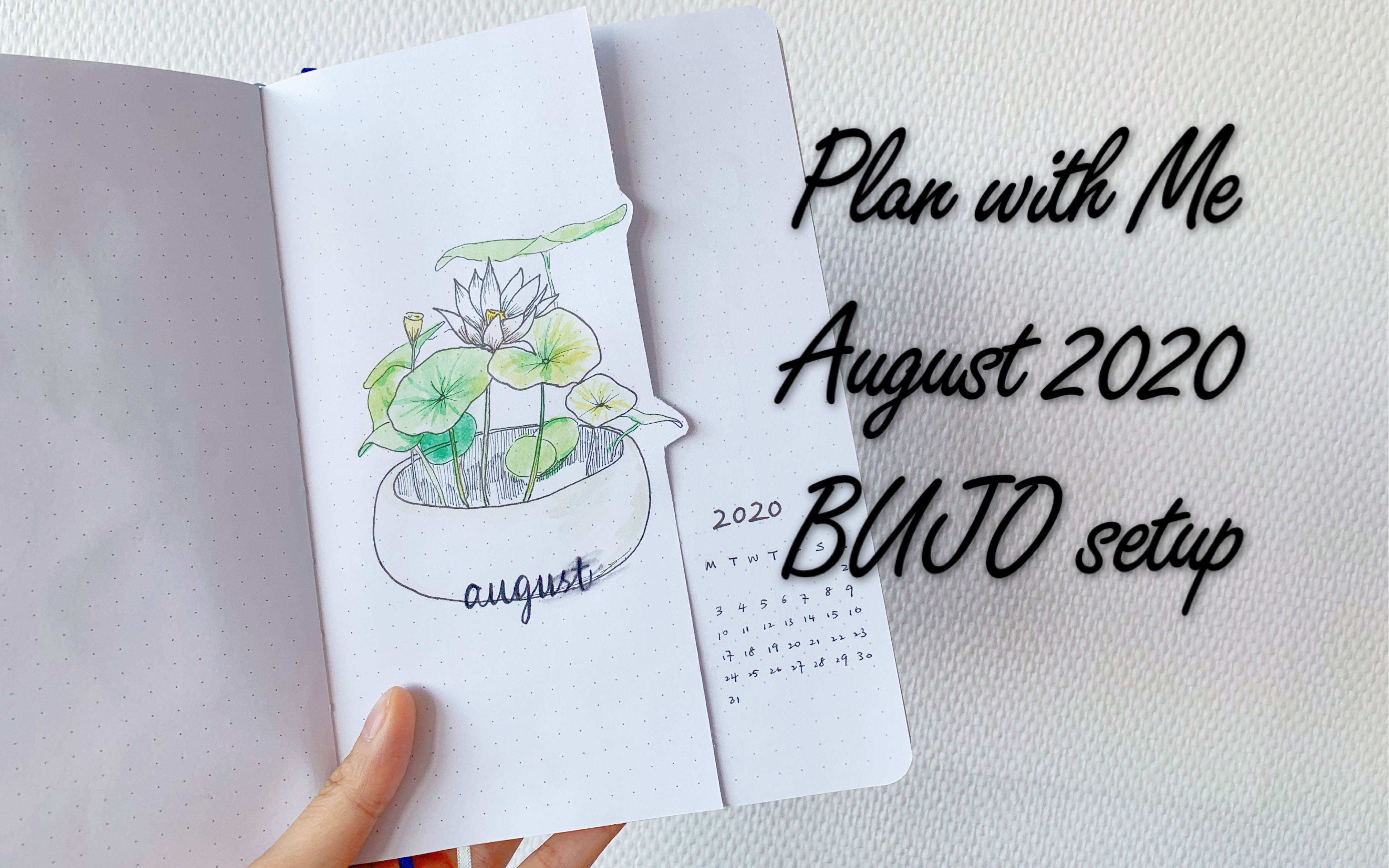 【BUJO】2020年八月子弹笔记设置 | 荷花主题 | Plan with Me | August 2020 bullet journal setup哔哩哔哩bilibili