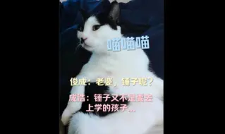 Download Video: 李俊成下班后的顺序是，先找老婆成浩再找猫！