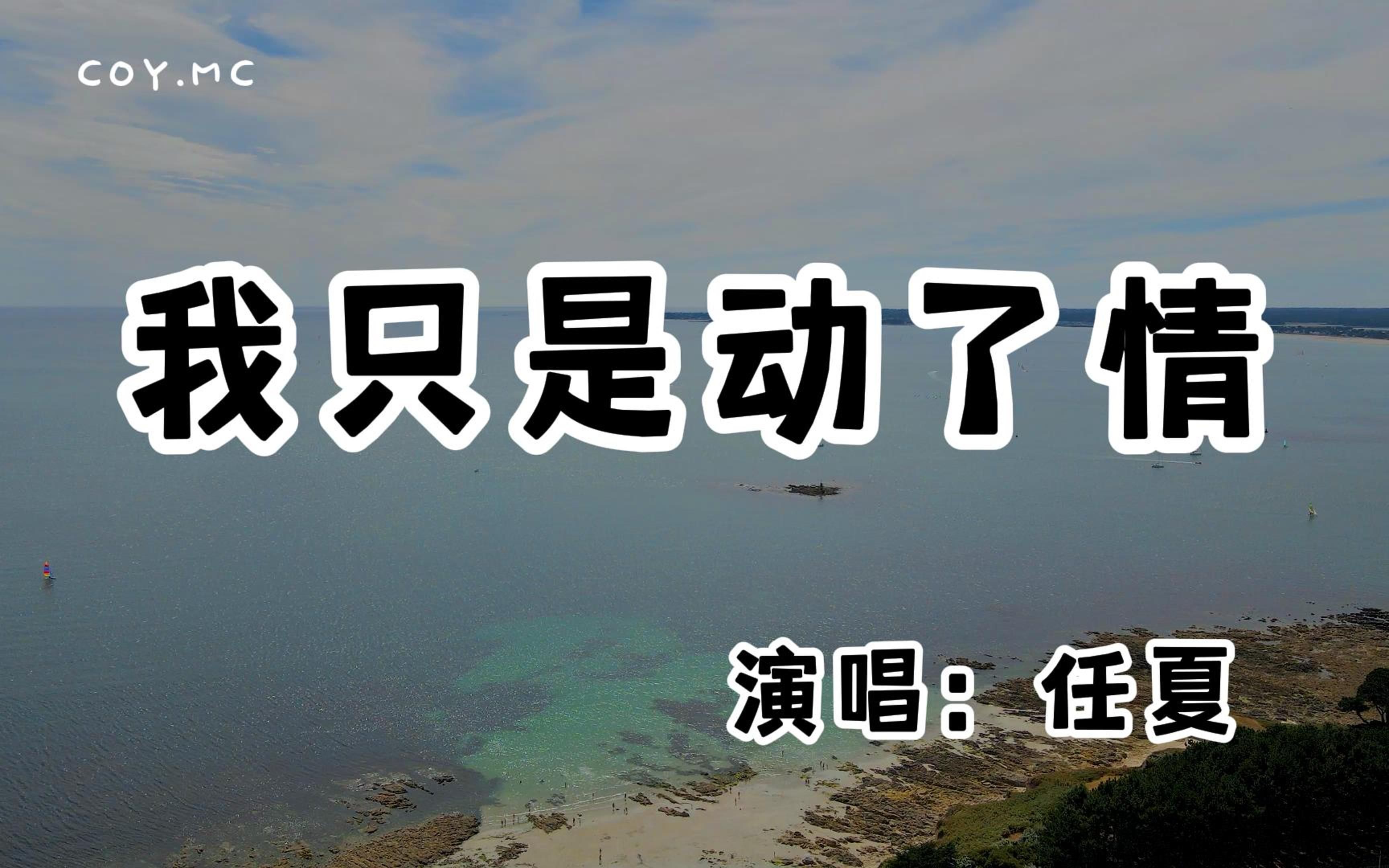 [图]任夏 - 我只是动了情『我爱上一个不爱我的人 她困住我整个青春』（动态歌词/Lyrics Video/无损音质/4k）