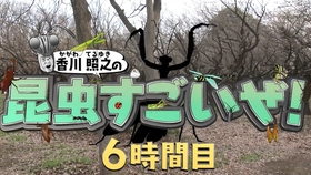 Cc中字 香川照之的昆虫可厉害了 哔哩哔哩 つロ干杯 Bilibili