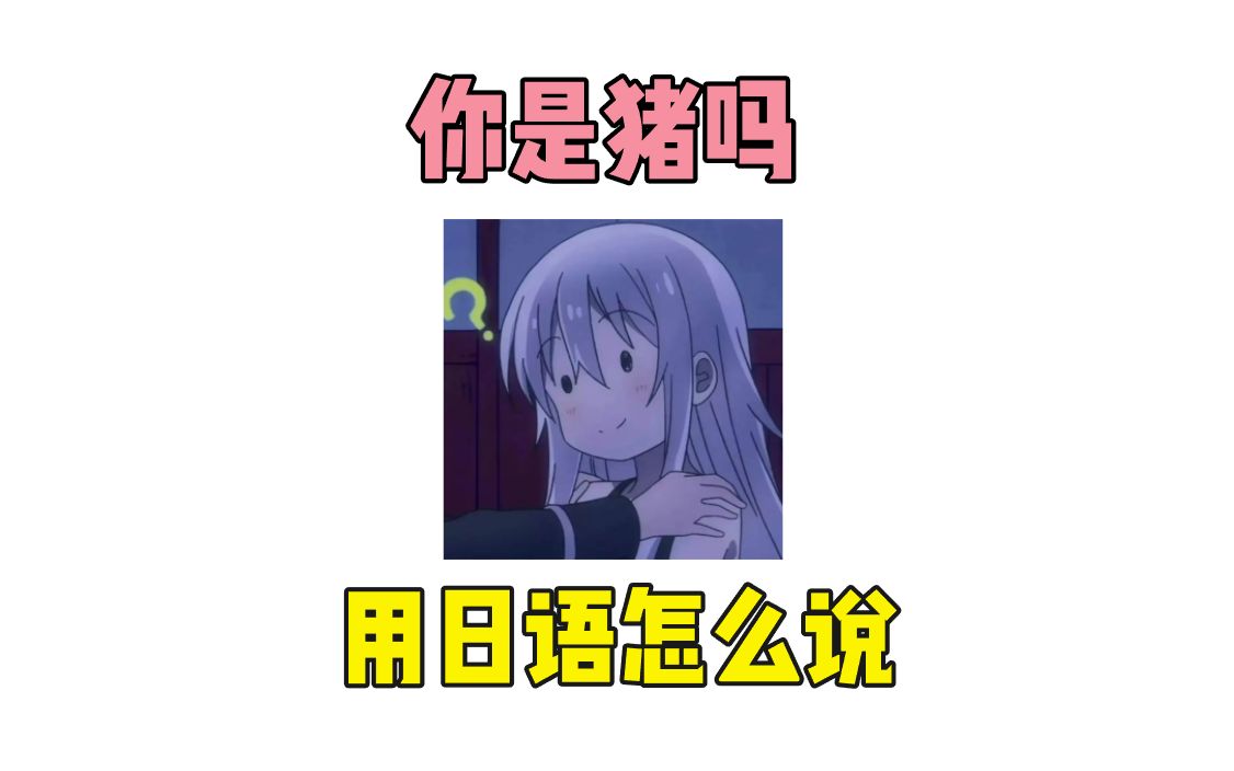 你是猪吗?用日语怎么说?哔哩哔哩bilibili