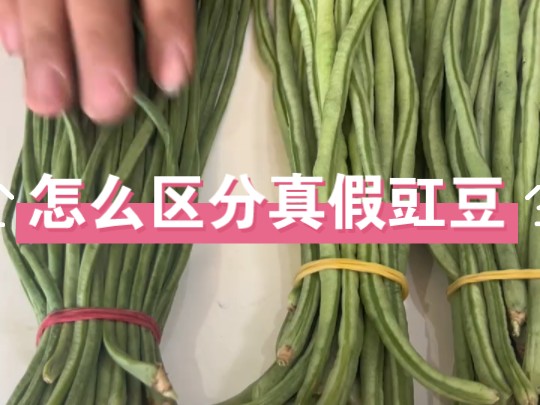 东北早市土豆哥揭秘:早市豆角怎么挑?怎么区分豇豆和菜豆!避免踩坑!挑菜小妙招!哔哩哔哩bilibili