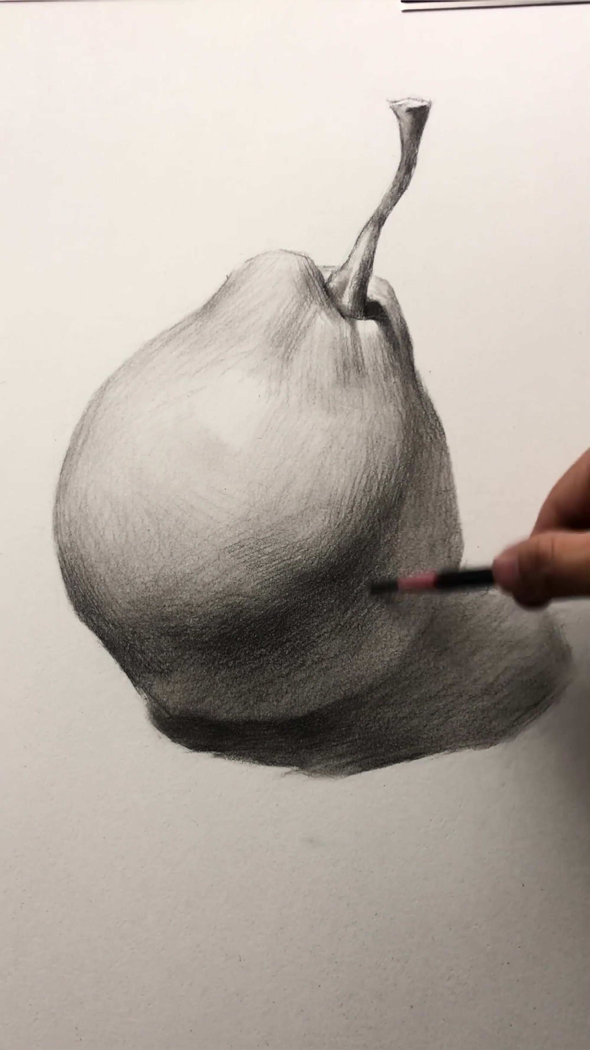 梨子画法素描图片