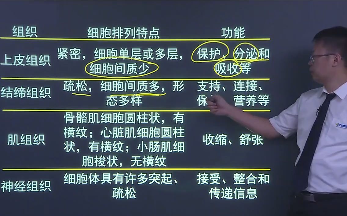 [图]【医学影像技术】放射技师-人体影像解剖CTMR影像诊断基础