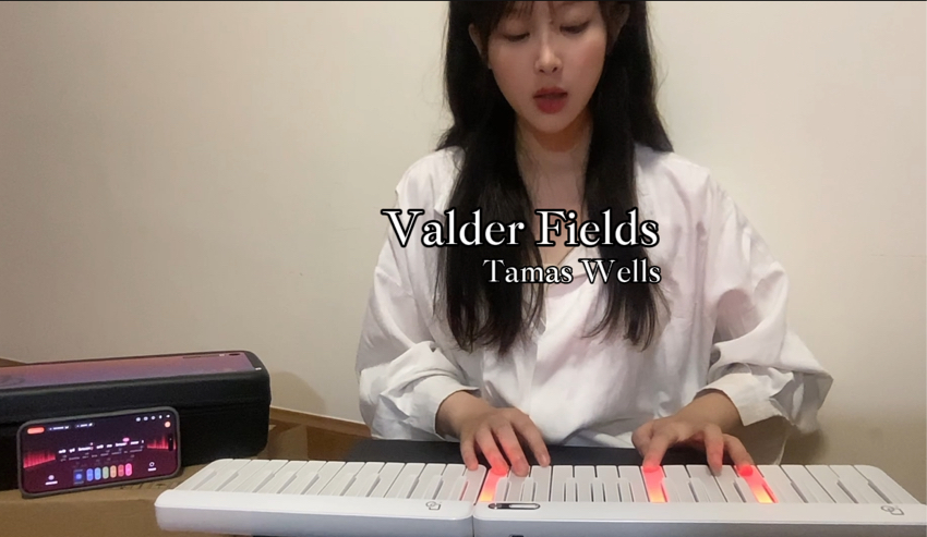 《Valder Fields 》翻唱哔哩哔哩bilibili