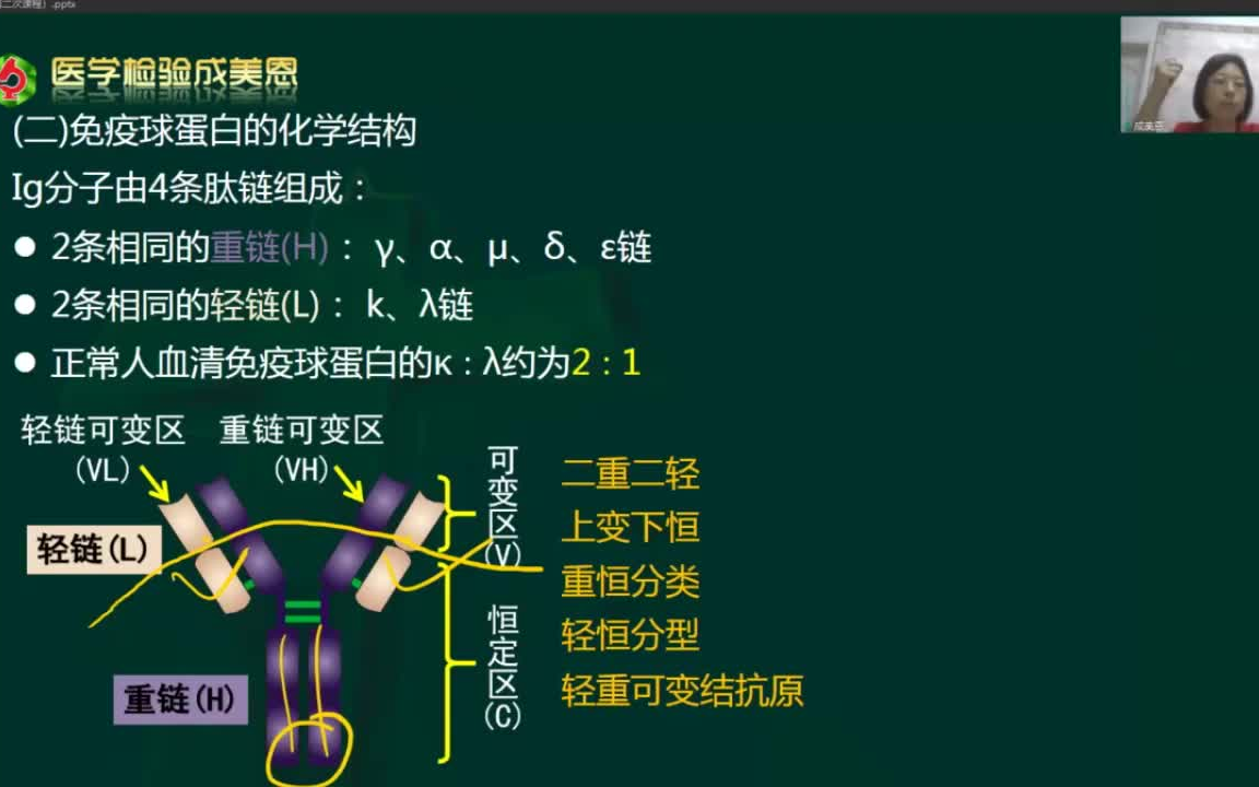 [图]成美恩医学检验技术2025基础精讲班网课【寄生虫-血液-生物化学-微生物-免疫-临床检验基础血液】