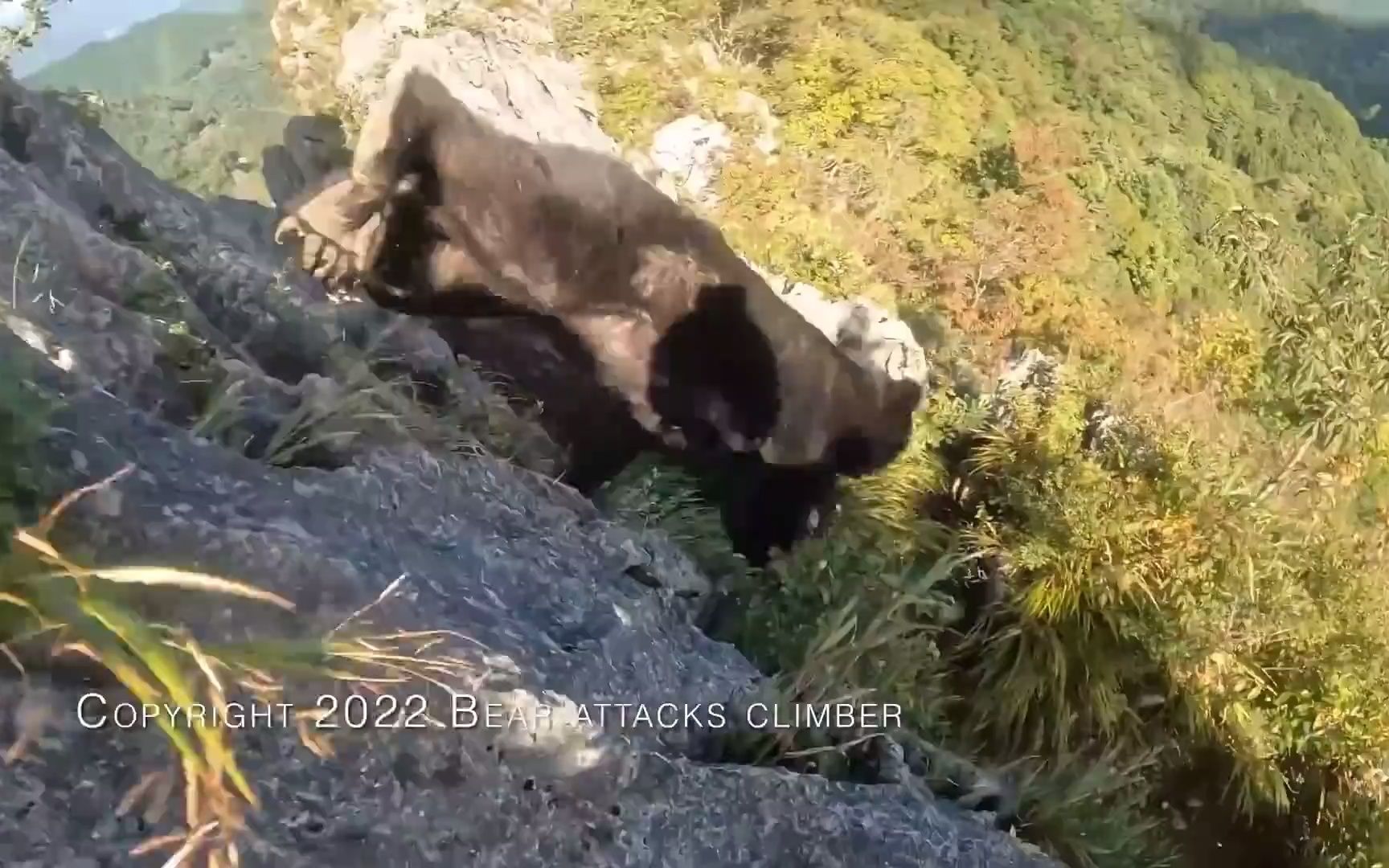 [图]熊袭击日本登山者