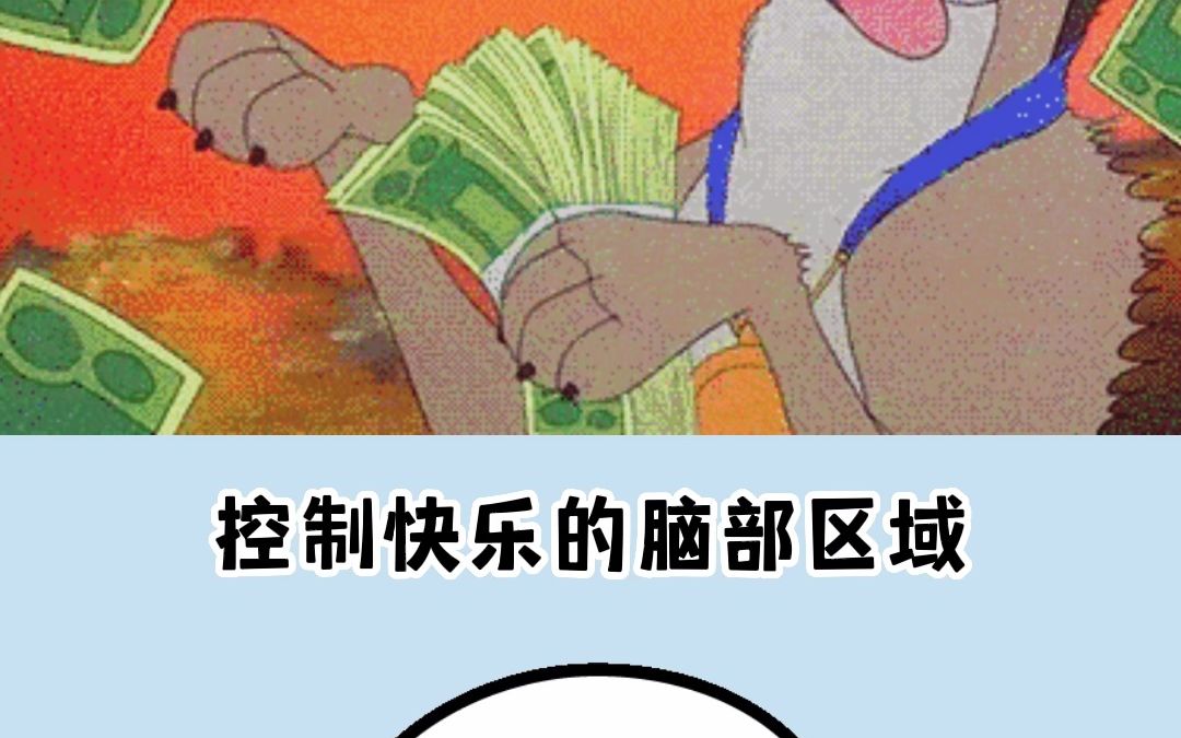 [图]这样花钱能让你获得更多快乐感