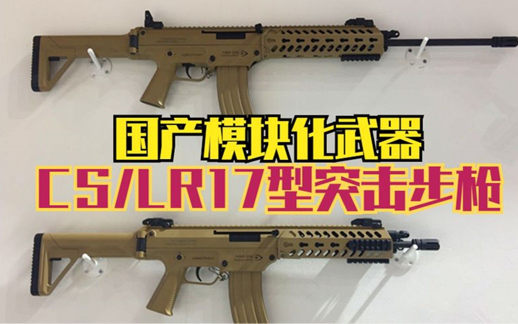 国产模块化武器:CS/LR17型步枪,7.62口径的优秀步枪【外贸款】网络游戏热门视频