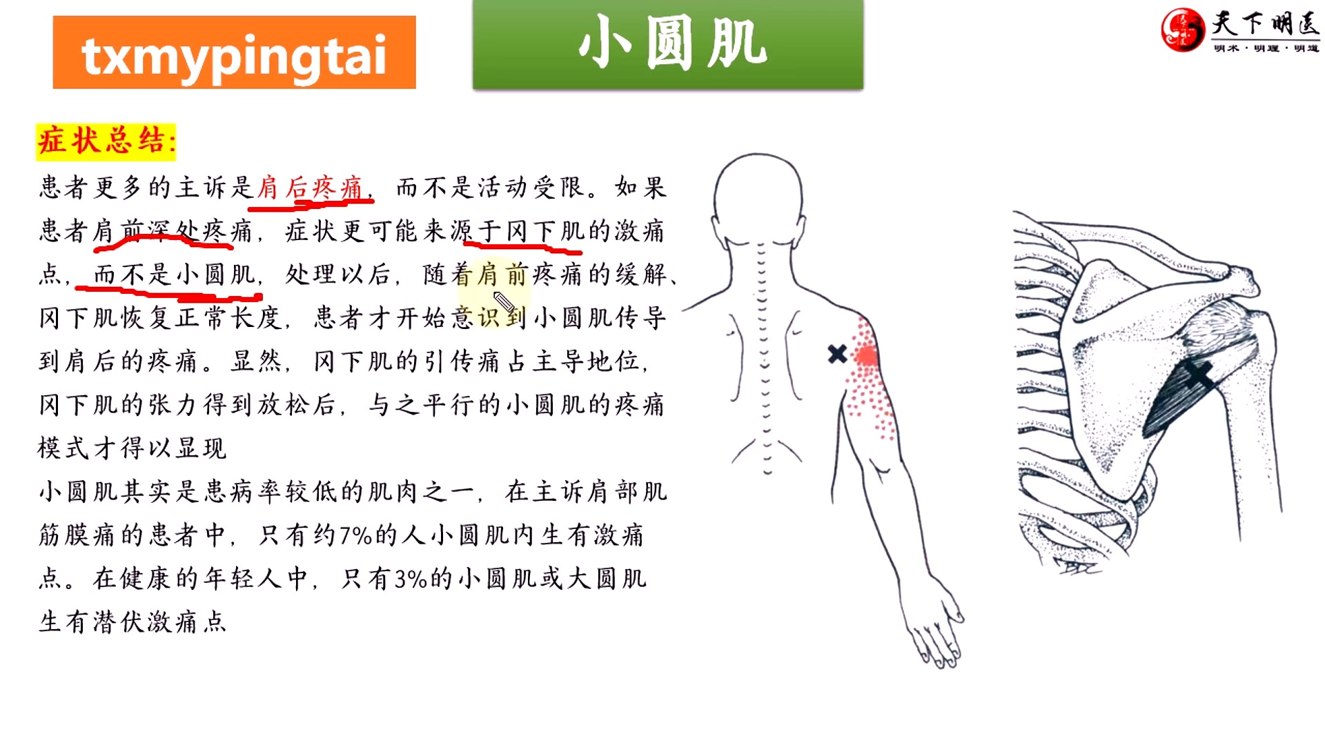 三角肌外翻图片