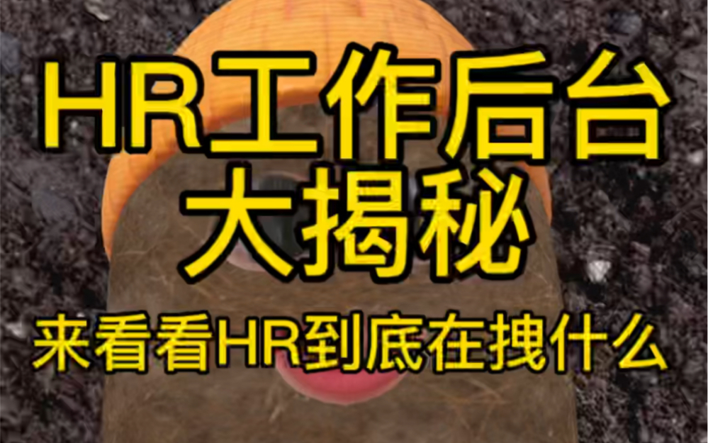 HR工作后台大揭秘，你找不到工作的原因找到了-求职找土豆-求职找土豆-哔哩哔哩视频