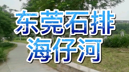 东莞石排海仔河哔哩哔哩bilibili