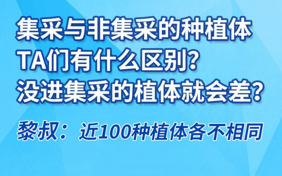 集采与非集采的种植体有什么区别?没进集采的种植体就会比较差吗?#种植牙 #种植牙集采哔哩哔哩bilibili