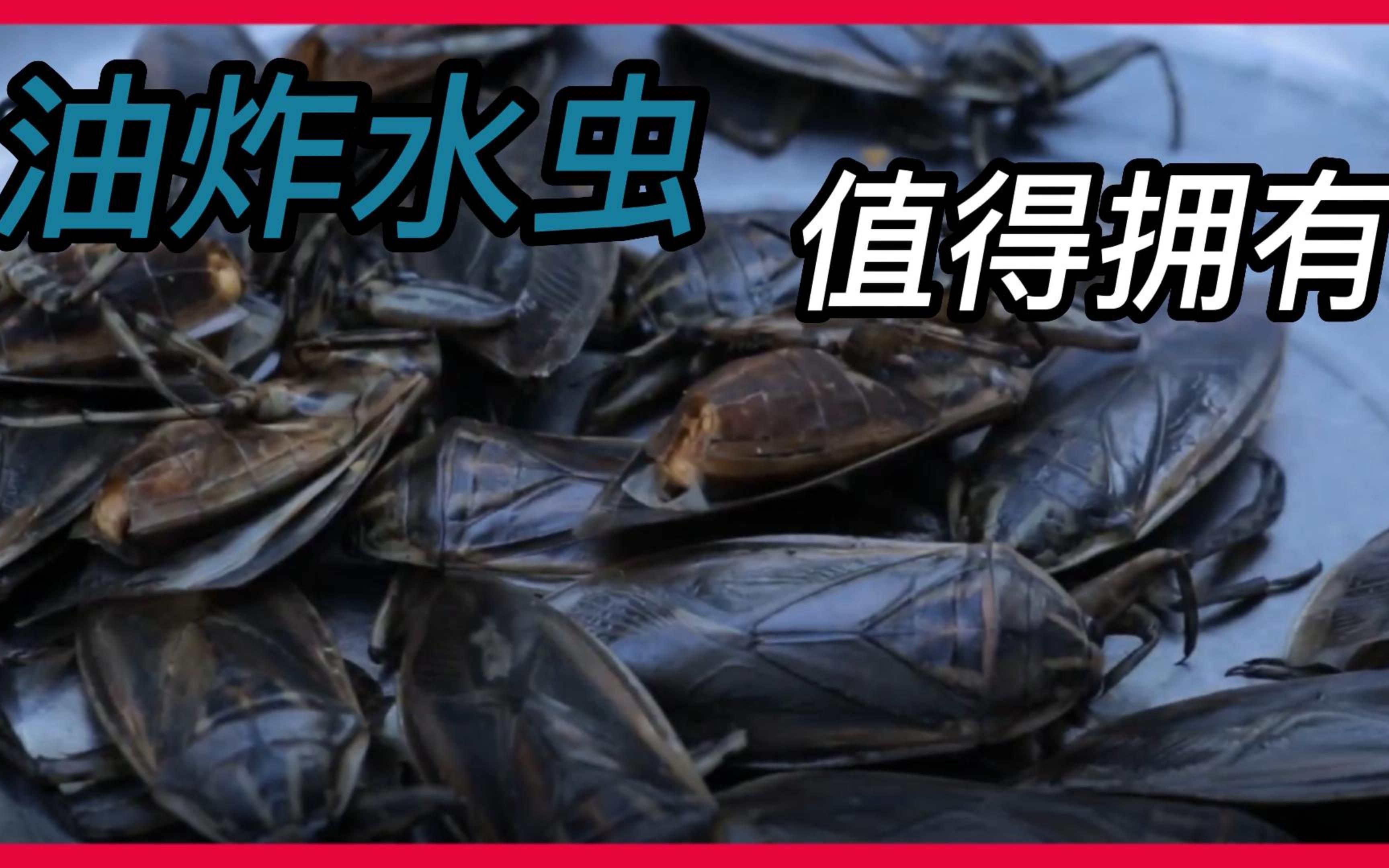 油炸水虫,荒野美食虽是重口味,但是你值得拥有