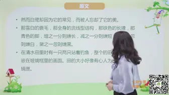 Download Video: 五年级语文上册合集